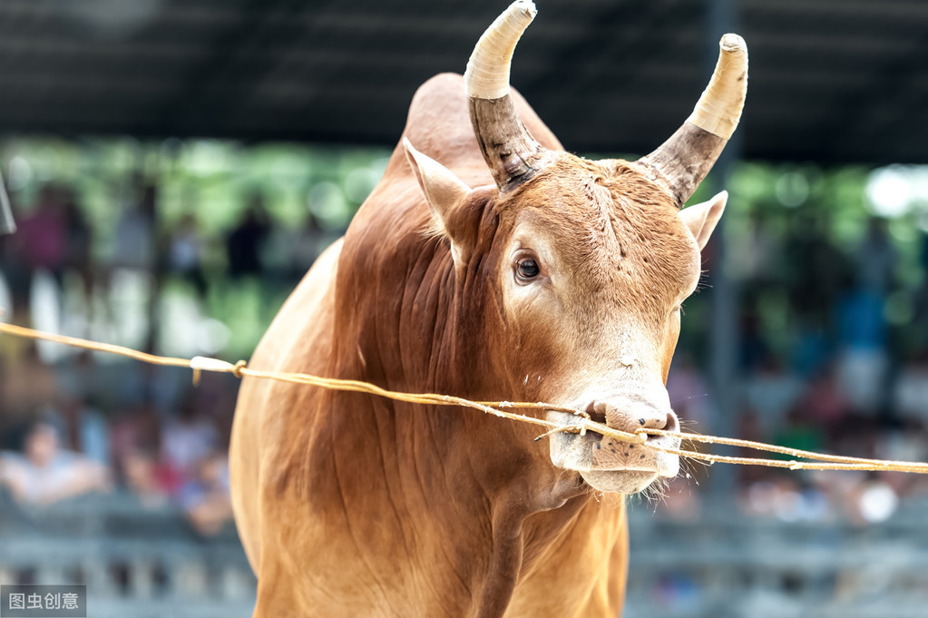 余秋雨经典语录及译文,余秋雨经典语录视频