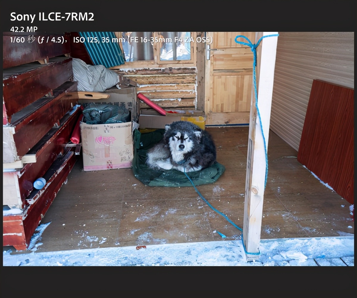 2021年还值得买索尼a7r4吗,2023年还值得买a7m4吗