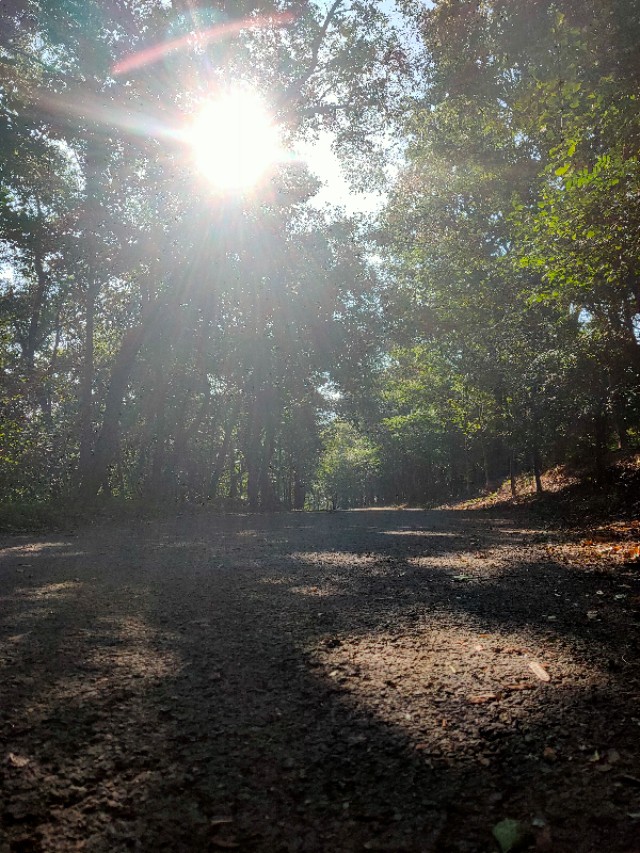 大连安波鸿缘温泉山庄,大连安波温泉民宿