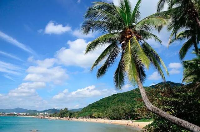 三亚买特产去哪儿,三亚买特产的超市