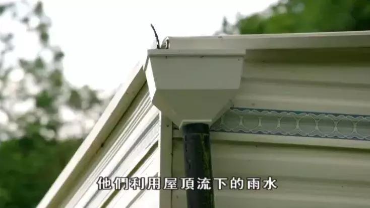 隐居深山30年以种地为生,隐居深山生活养动物