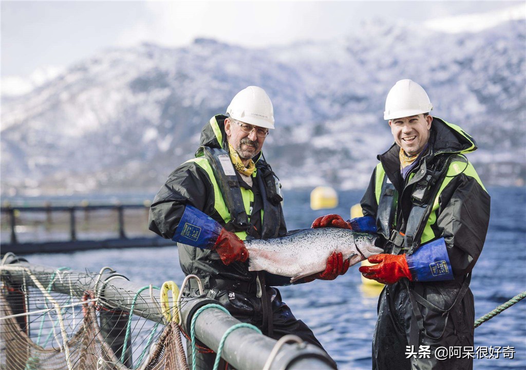 每个月工资4万元,每个月工资4000块