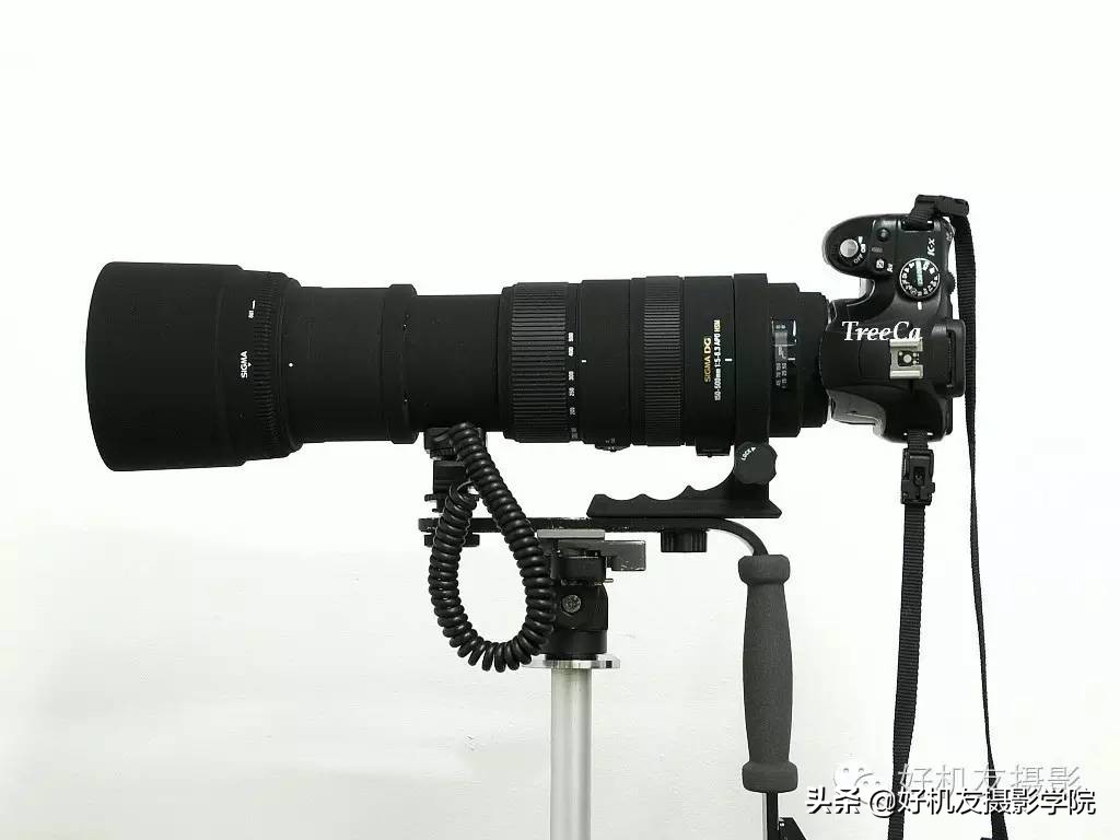 慢速拍鸟的技巧,90d拍鸟技巧