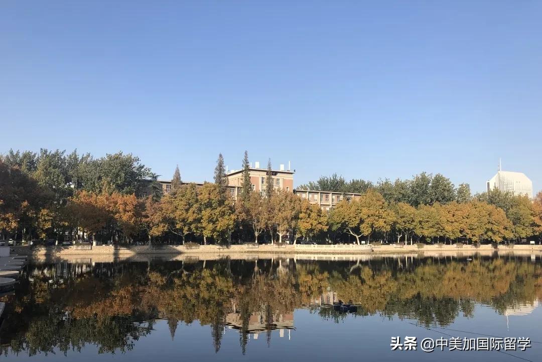 认真规划持续努力，学霸小姐姐斩获IC、新国立、南洋理工和港大