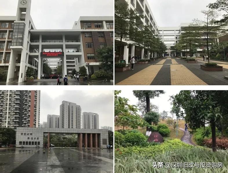 深中泥岗校区,深科大和南科大