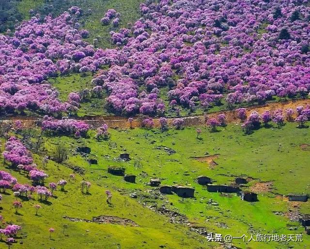 海螺沟温泉瑶池和贡嘎神汤哪家好,海螺沟天域瑶池温泉最新
