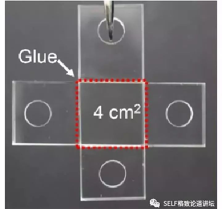 诺贝尔奖中的有机化学,为什么诺贝尔化学奖很少