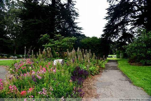 这8所理工大学实力很强,美国最受欢迎的十大名校排行榜