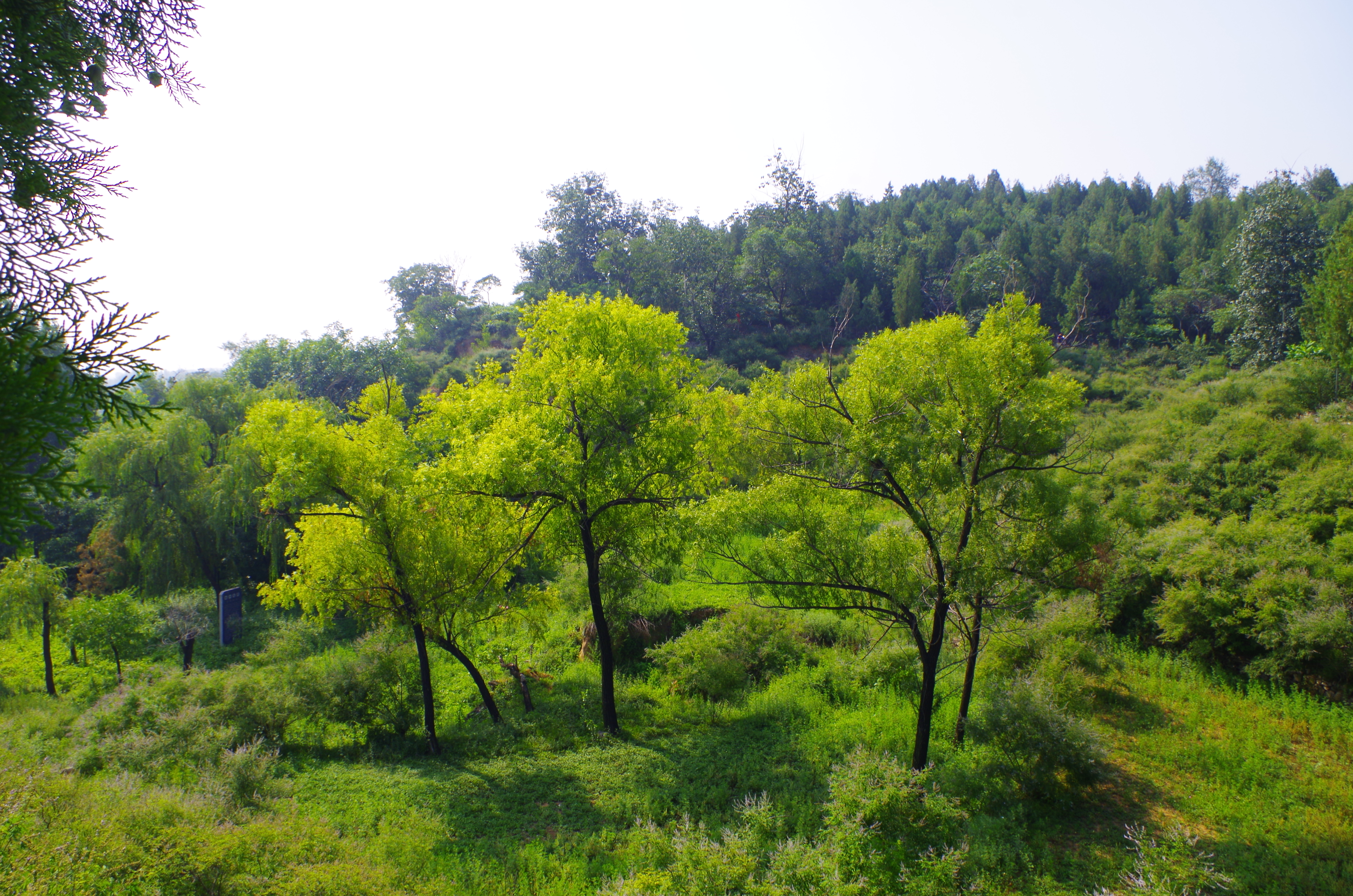 石家庄清凉山游玩需要多长时间,清凉山爬山详细爬山攻略