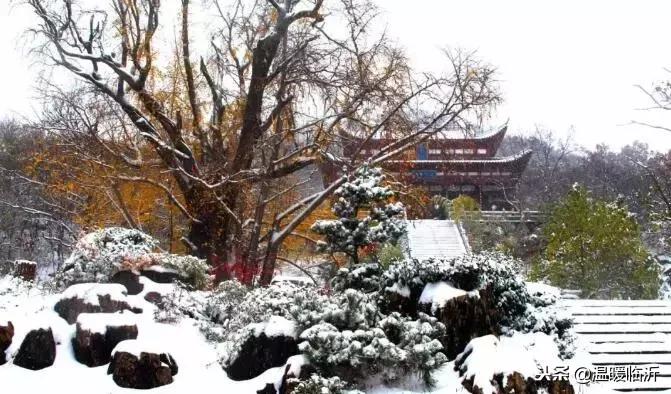 雪后的临沭小城，美得令人窒息