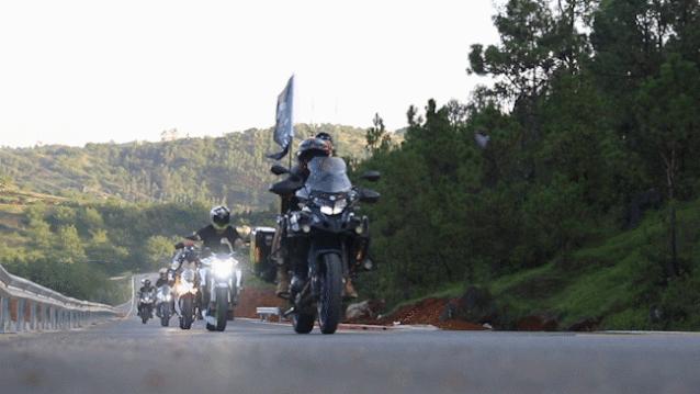 这是一个生机勃勃的地方关于它的故事才刚刚开始