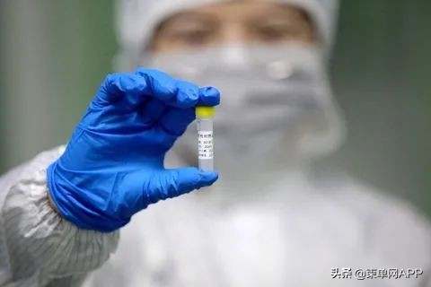 入境柬埔寨要注意些什么,入境柬埔寨案例