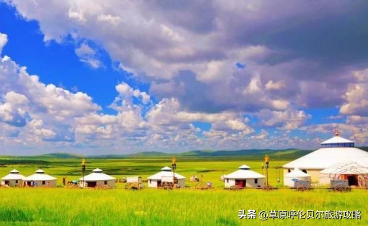 八月份呼伦贝尔还有草吗,呼伦贝尔草原草绿了吗