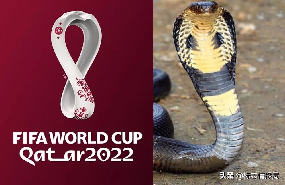 2022世界杯另一个logo,哈哈世界杯