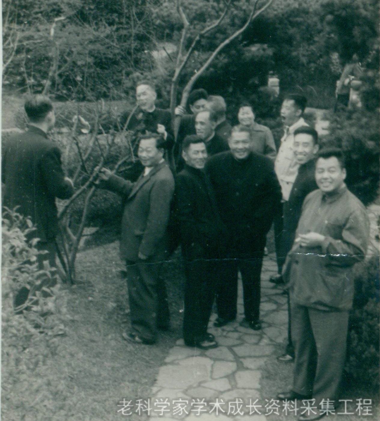 从中医小白到临床高手,从西医转而学习中医体会