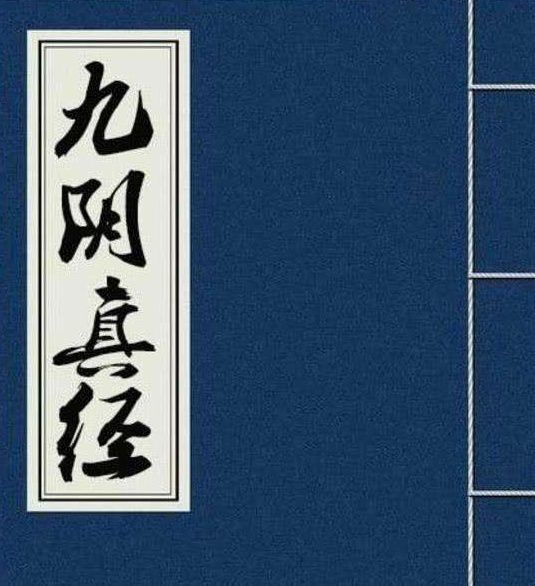 九阴真经和九阳神功哪个更胜一筹,九阴真经和九阳神功哪个内功强