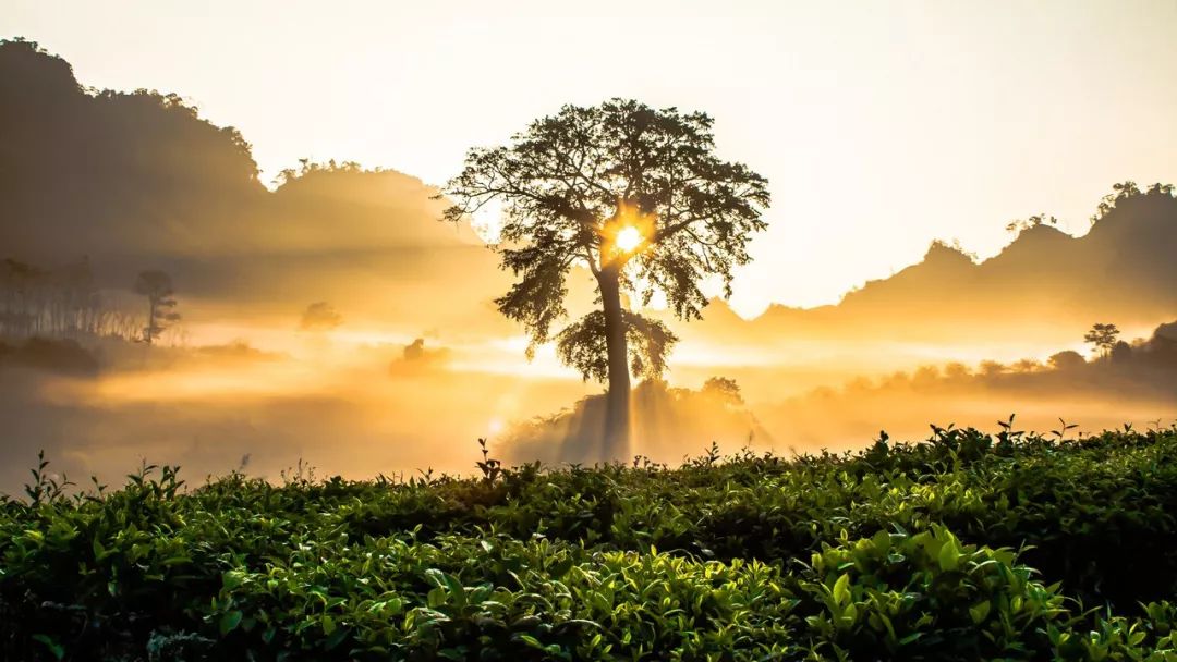 李绚诗歌《怒放的生命》诵读：边福来
