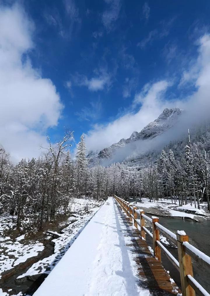 春节游玩打卡攻略,新年旅游攻略全国