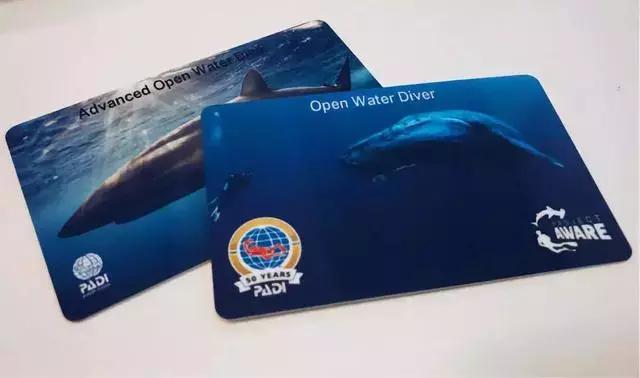 国内潜水需要潜水证吗,潜水考证后在哪潜水