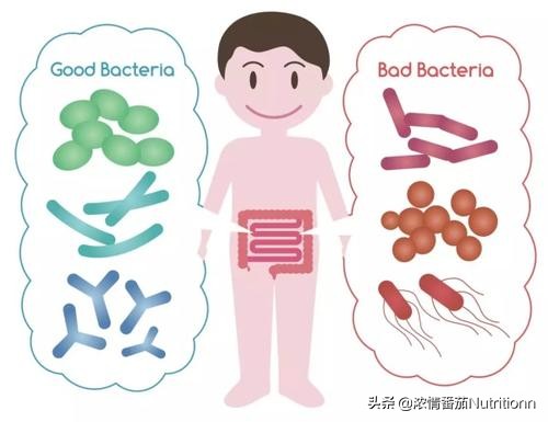 过量补益生菌对婴儿的危害,滥用抗生素肠道菌群紊乱会便秘吗