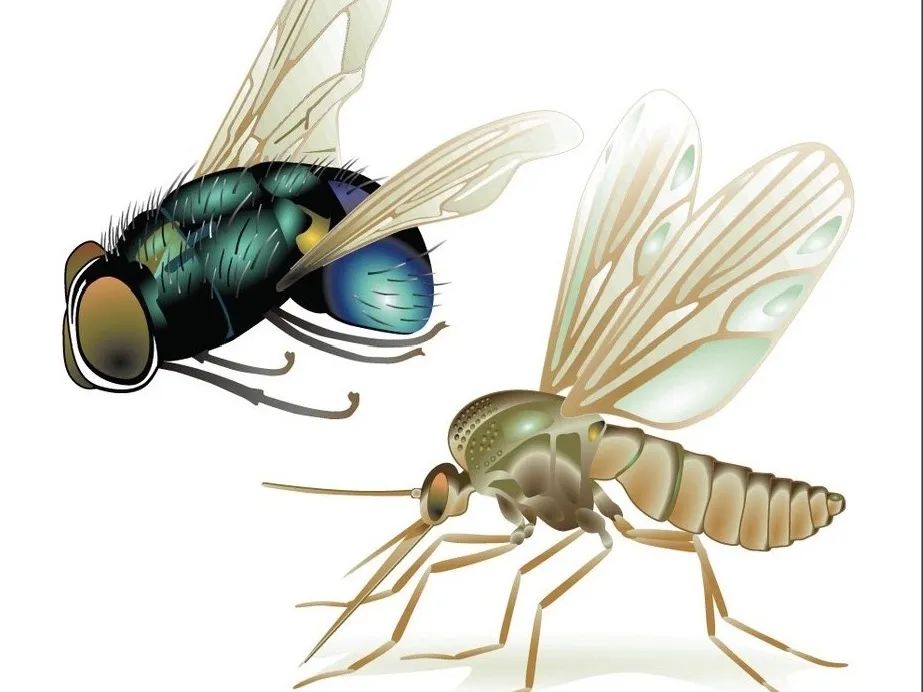 自然科学实验与创新课题,生态课题研究方案