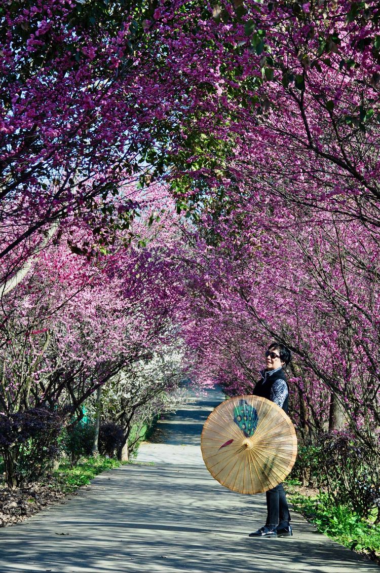 傅家边野营,走进金溪傅家村