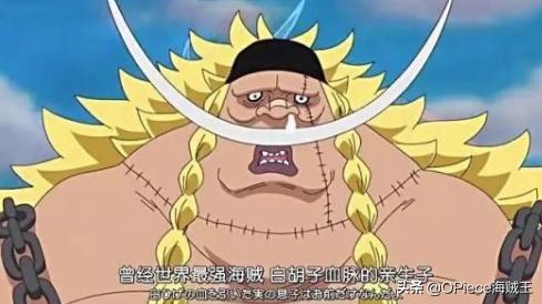 《海贼王》伟大航路三大势力之一，新旧王下七武海人气排行榜
