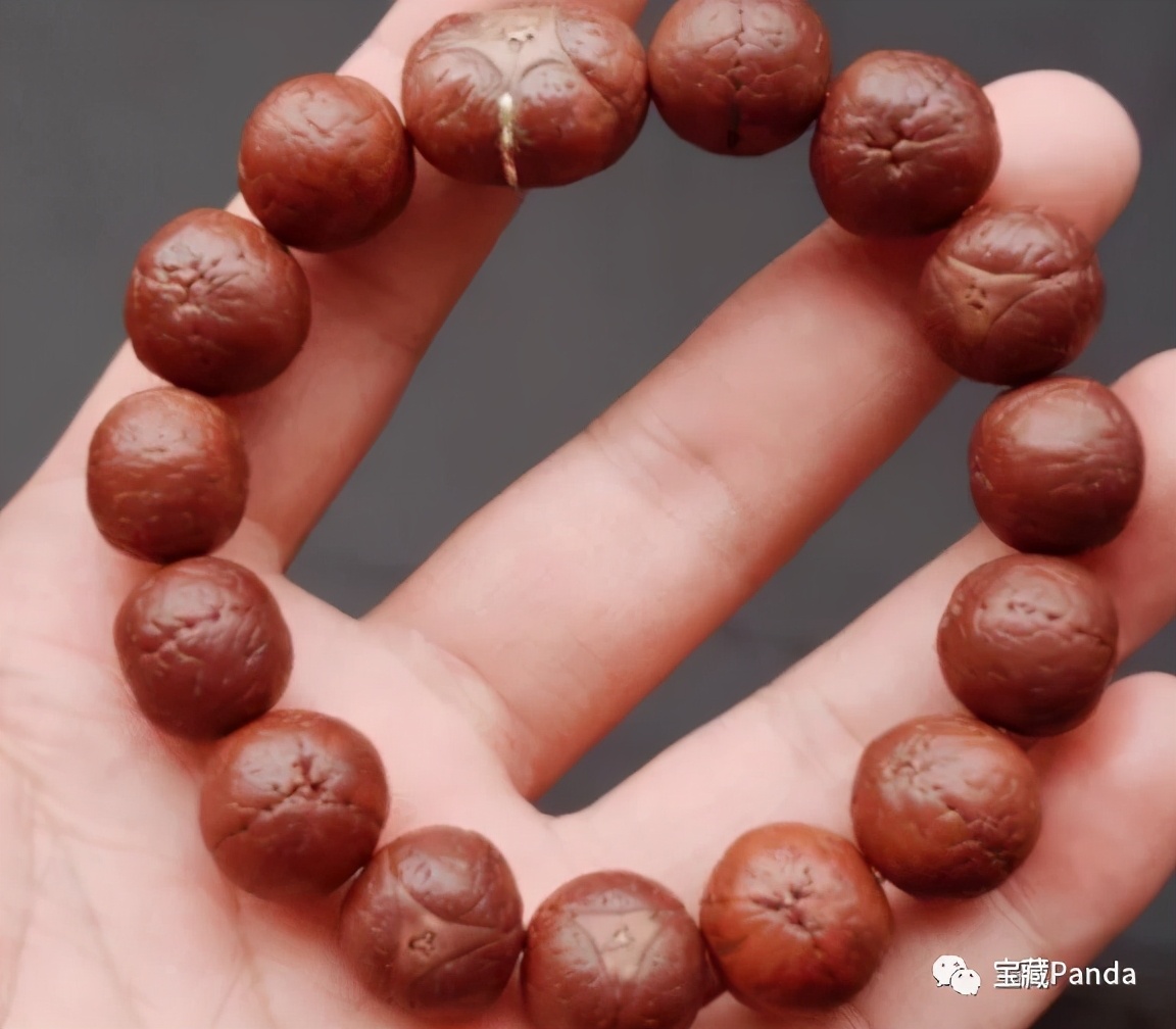 龙眼凸眼菩提,苍龙眼龙眼菩提