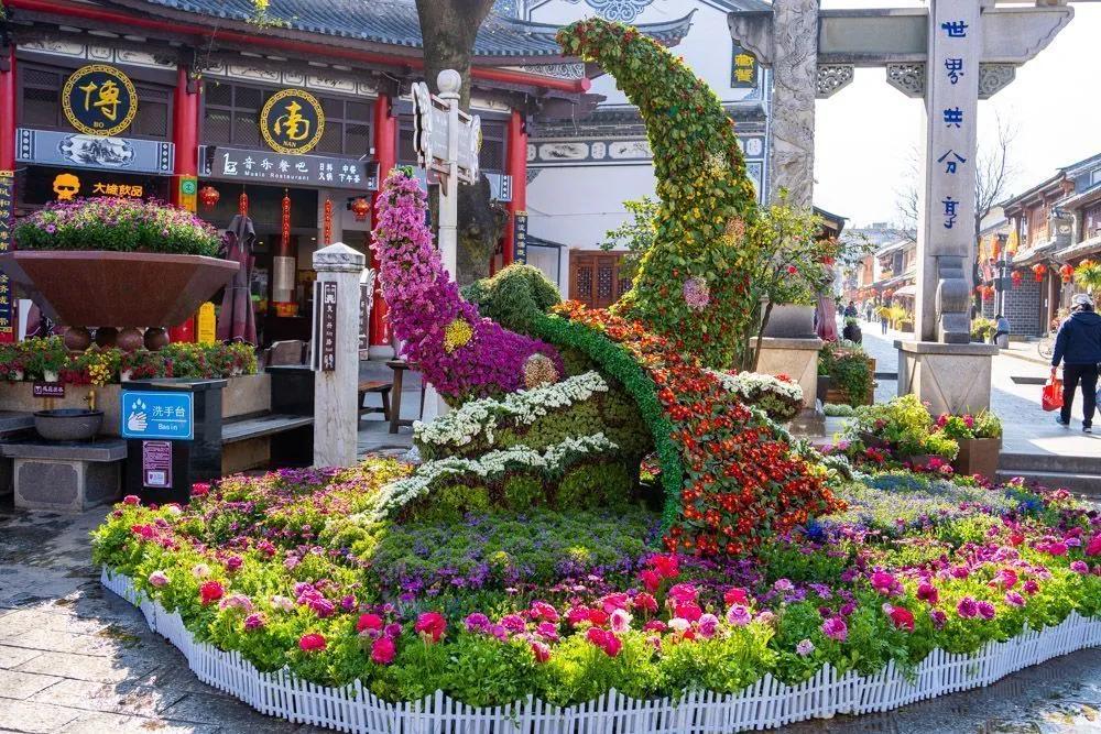 瞧!这花花世界谁不爱