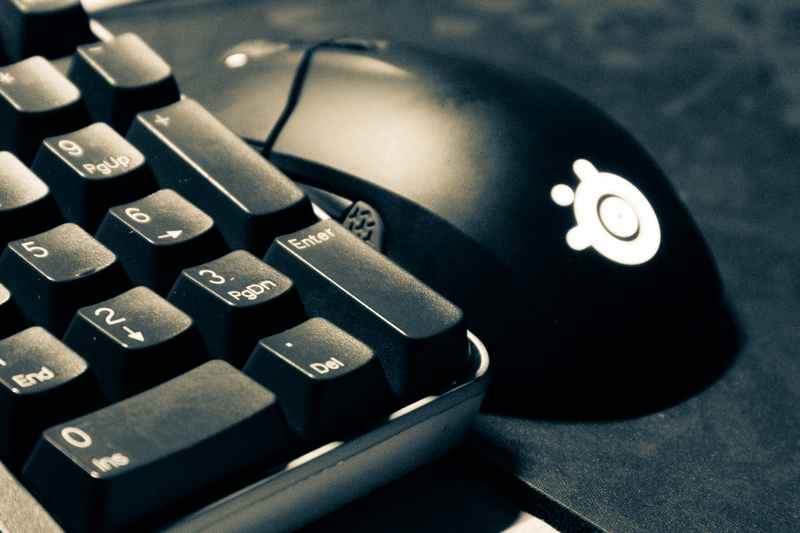 赛睿310和霜冻鼠标哪个好,赛睿310鼠标游戏测评