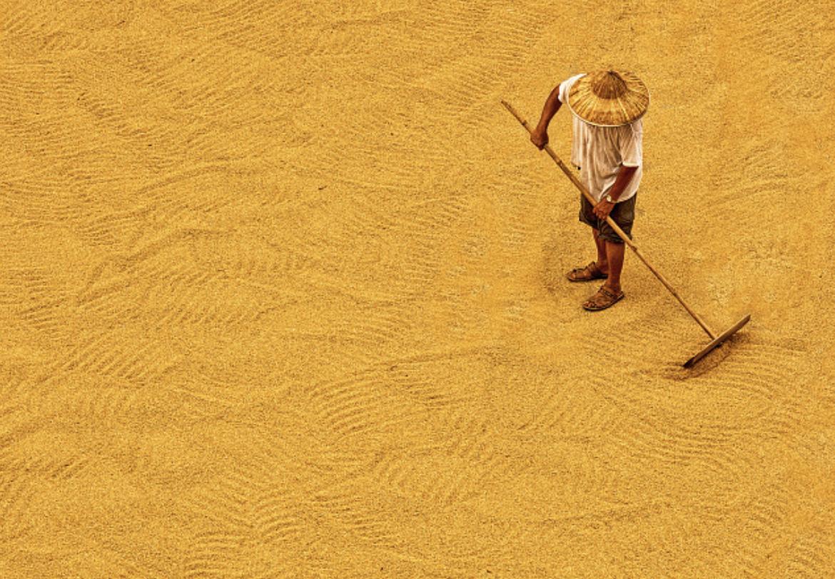 引领并赋能产业智能化变革,传统产业智能化和数字化如何转型