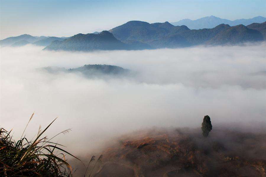 2018五毒月禁忌,2020年五毒月九毒日禁忌