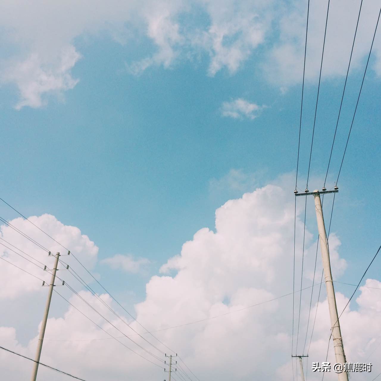 【原创小说连载《路回》】八回李氏操劳险成疾柳乡花苗惨遭毁