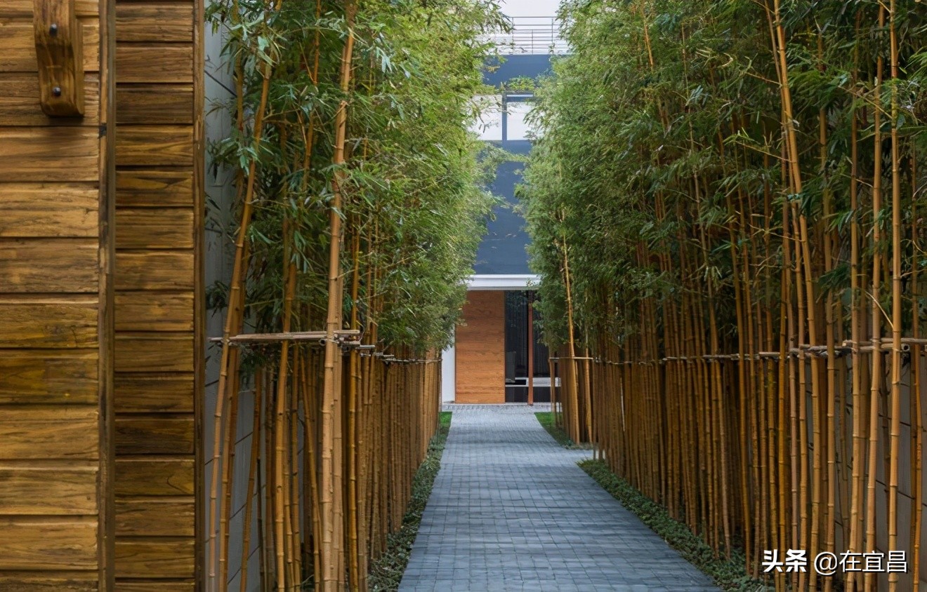 牛！这样的伍家岗，你怎能不爱