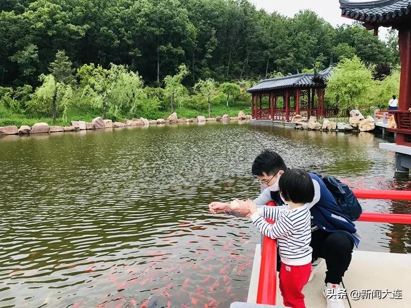 大连野餐必备,大连野餐推荐地点