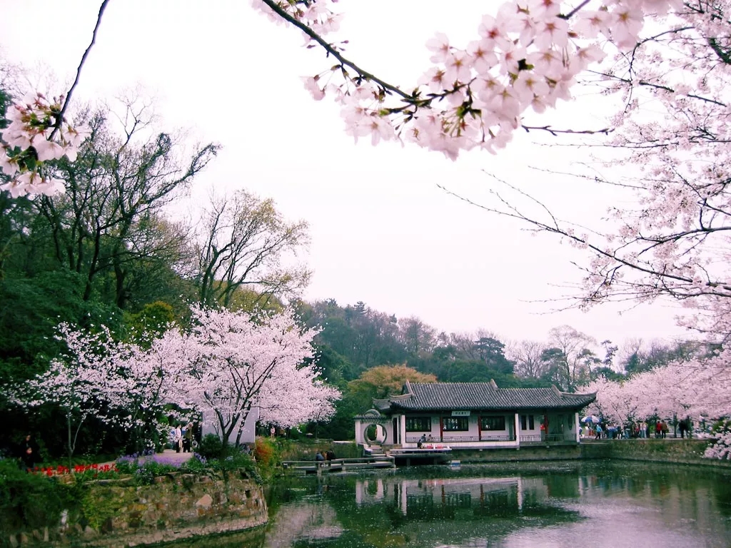 上海清静的旅游景点,上海周边清静的地方