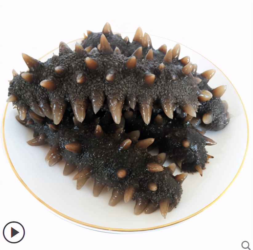 食品打假良心推荐,职业打假人即食海参