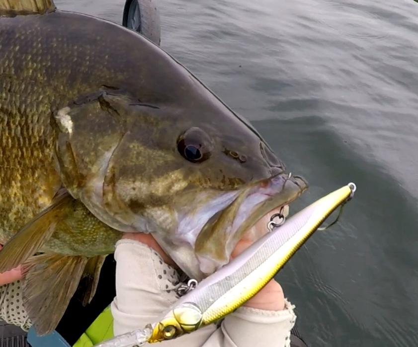 为什么路亚饵都是三本钩,路亚马口三本钩跟单钩哪个好用