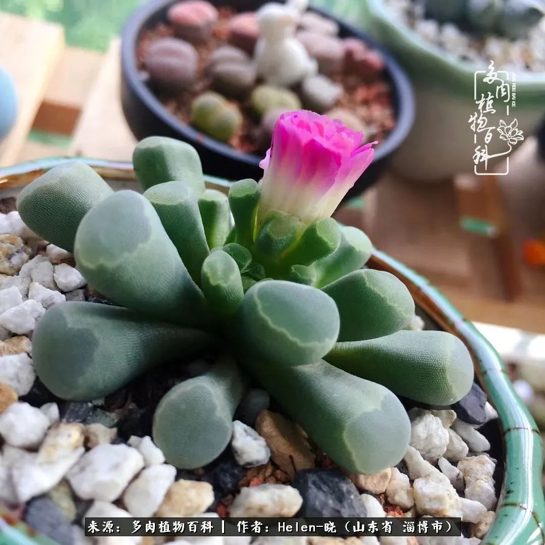 人到中年温暖如初,人到中年岁月静好