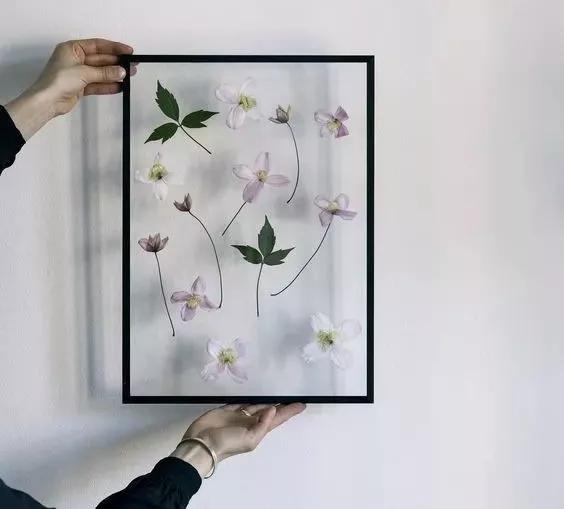 她用这种高颜值的干花装饰家里，隔壁邻居都惊叹不已