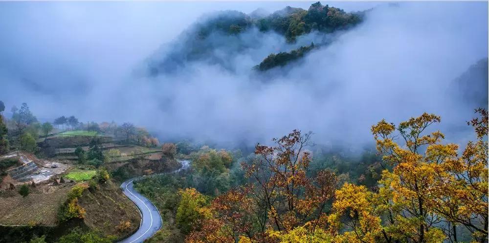 如果有一天累了就回老家到处走走,如果有一天累了就回来吧