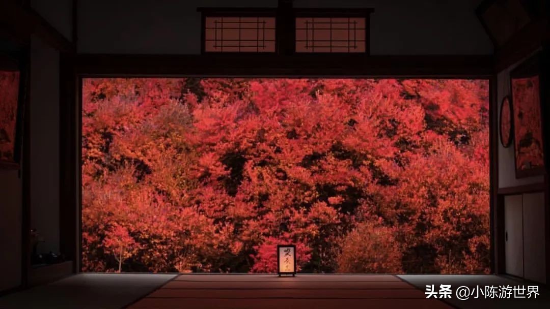 日本赴华旅行,日本赴中国旅游