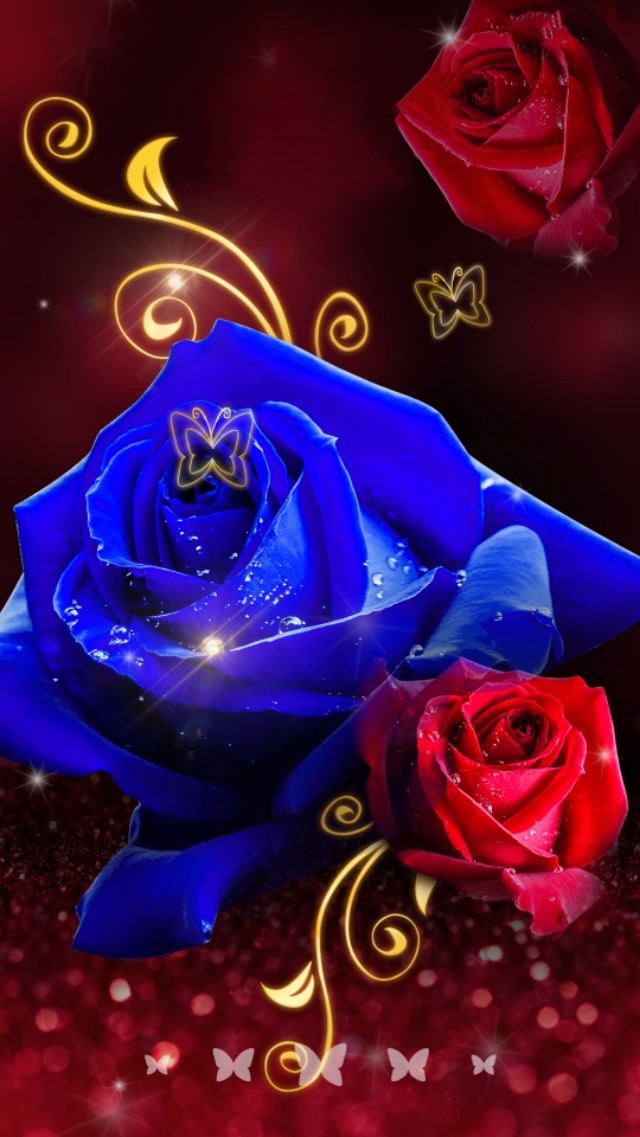 漂亮的花朵壁纸图片大全高清,漂亮的山野花朵图片竖屏壁纸