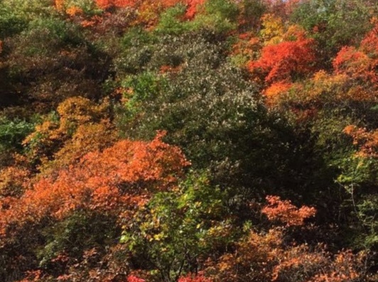 卧龙谷风光,卧龙谷秋色图片