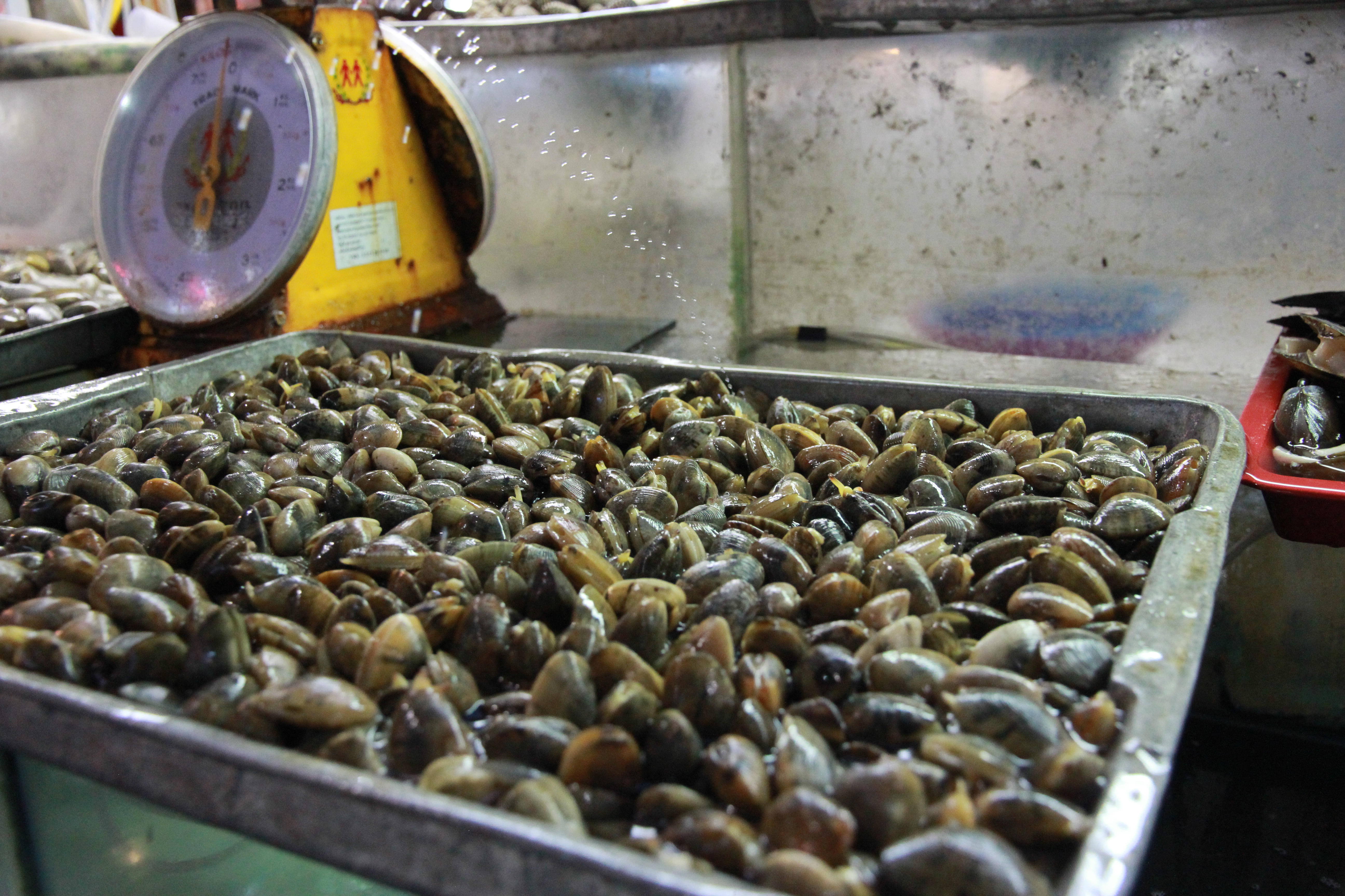 泰国普吉岛旅游攻略小视频,泰国普吉岛自由行旅游最新攻略