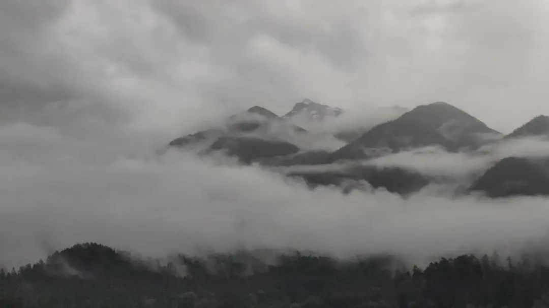 拉萨男女爱情故事,拉萨美丽的爱情故事