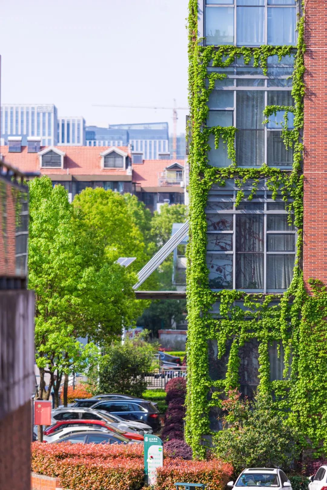 江苏省高校（五十五）三江学院