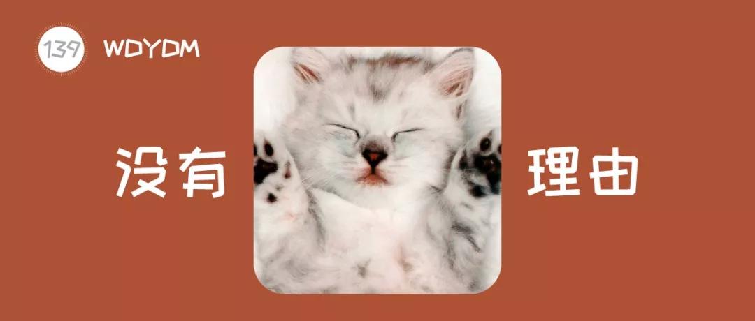 猫咪傲娇，为什么那么多人养？喜欢猫的18个理由，每个都无法反驳