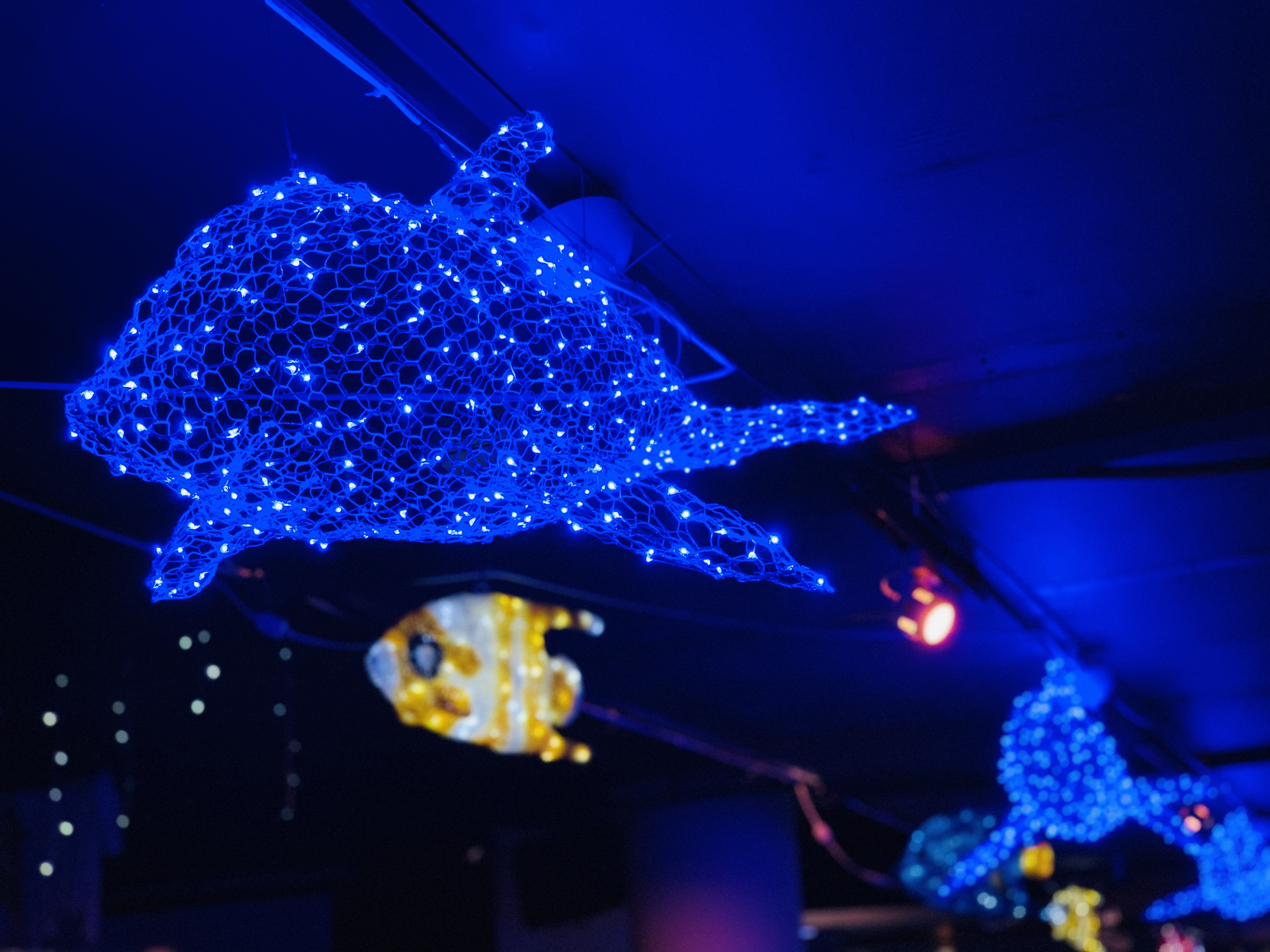 北京富国海底世界周围景点,工体富国海底世界游览攻略