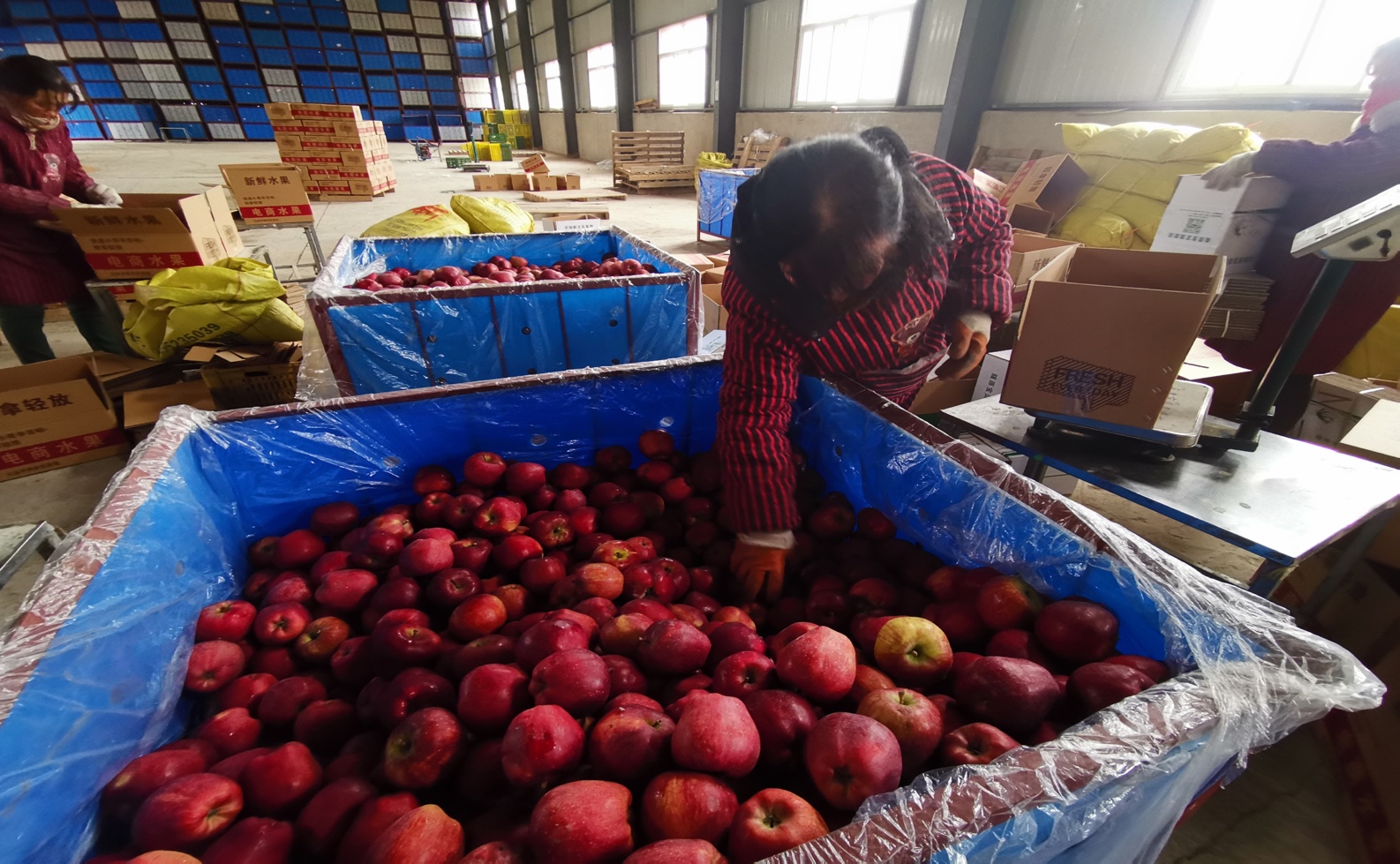 农村小伙创业年赚百万,乡村小伙三年逆袭之路